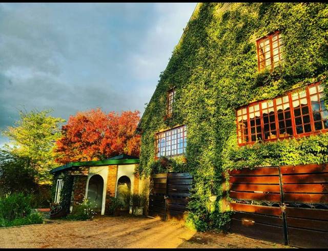 FARM FOR SALE IN MIDDELBURG